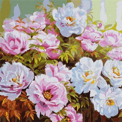 Ideyka Malowanie po numerach - R�norodno�� piwonii 50x50cm