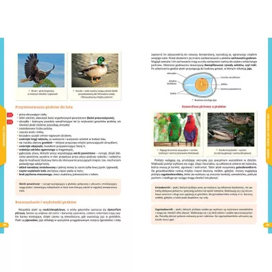 Repetytorium na 100%. Szko�a podstawowa. Biologia