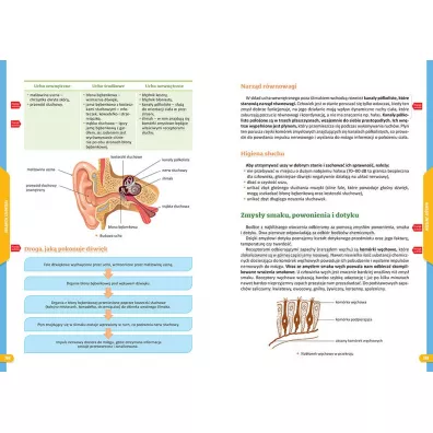 Repetytorium na 100%. Szko�a podstawowa. Biologia