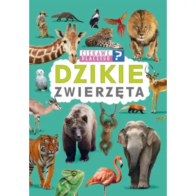 Ciekawe dlaczego? Dzikie zwierz�ta