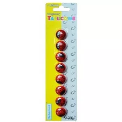 Magnesy do tablic 20mm 8szt