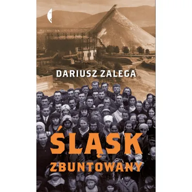 �l�sk zbuntowany - Dariusz  Zalega