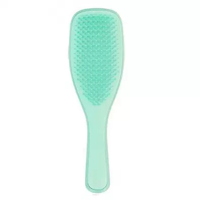 Tangle Teezer The Wet Detangling Fine & Fragile Hairbrush szczotka do wosw Mint