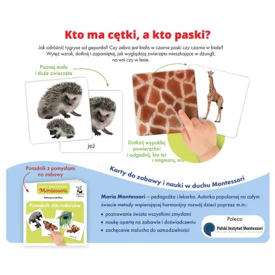 Zwierz�ta. Montessori. Karty sensoryczne. Kapitan Nauka