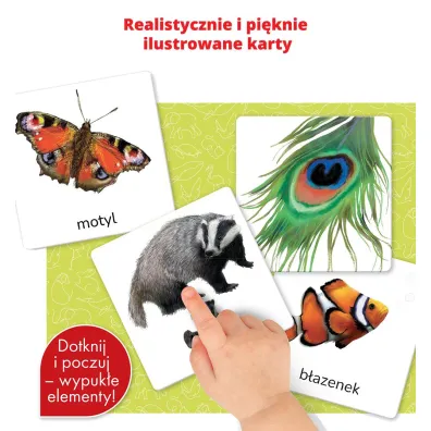 Zwierz�ta. Montessori. Karty sensoryczne. Kapitan Nauka