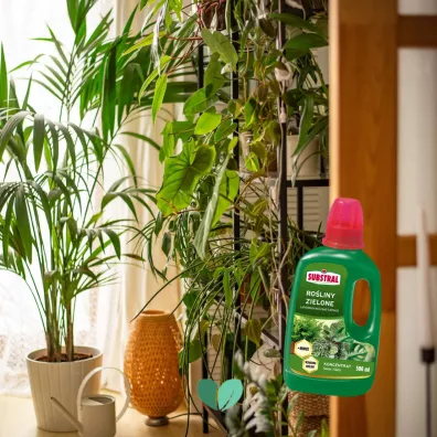 Substral Nawz + humus do rolin zielonych 500 ml