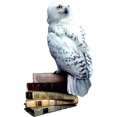 Harry Potter i Czytacz My�li Rebel