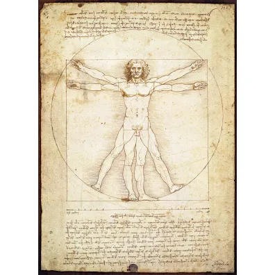Puzzle 1000 el. The Vitruvian Man Eurographics