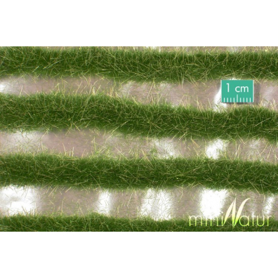 MiniNatur Dwukolorowe paski letniej trawy 252 cm