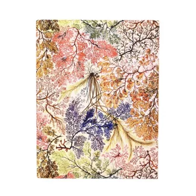 William Kilburn Notatnik Anemone ultra linia