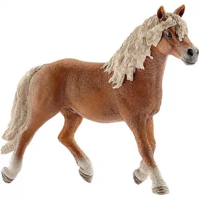 Ogier rasy Haflinger SLH13813
