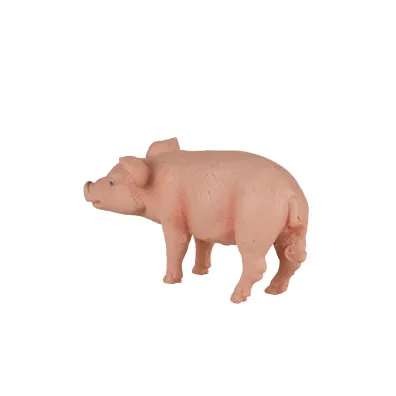 Figurka �winia  prosi�