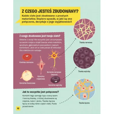 Ciao czowieka. Jak dziaa Twj organizm