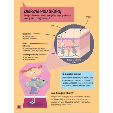 Ciao czowieka. Jak dziaa Twj organizm