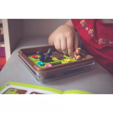 Smart Games. Squirrels Go Nuts! (ENG) IUVI Games