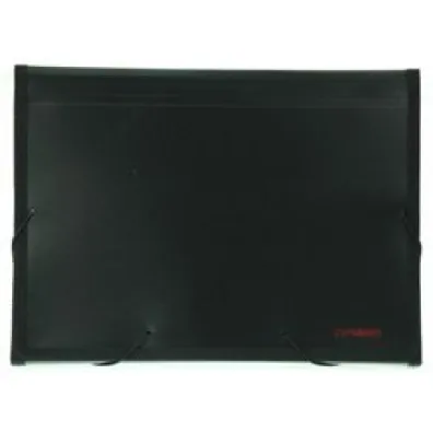 Penmate Akt�wka 12 przegr�dek PP-4302