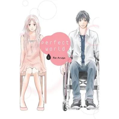 Perfect World. Tom 1 - Rie Aruga