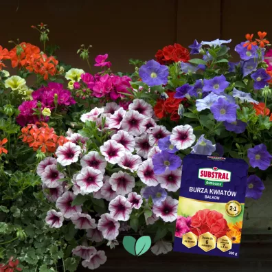 Substral Nawz Burza Kwiatw - balkon 300 g