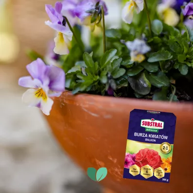 Substral Nawz Burza Kwiatw - balkon 300 g