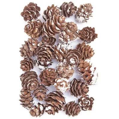 Dalprint Mini szyszki bielone 25g