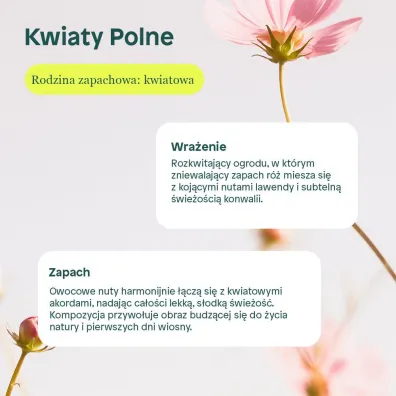 Attitude Pyn do pukania, Kwiaty Polne (Wildflowers) 40 puka 1 l