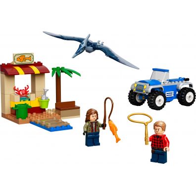 LEGO Jurassic World Pocig za pteranodonem 76943
