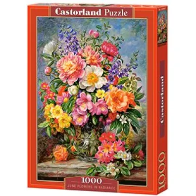 Puzzle 1000 el. June Flowers in Radiance Castorland