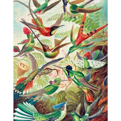 Puzzle 1000 el. Imagination Ernst Haeckel - Kolibry Good Loot