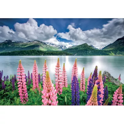 Puzzle 1500 el. Jezioro Sils/Szwajcaria Educa
