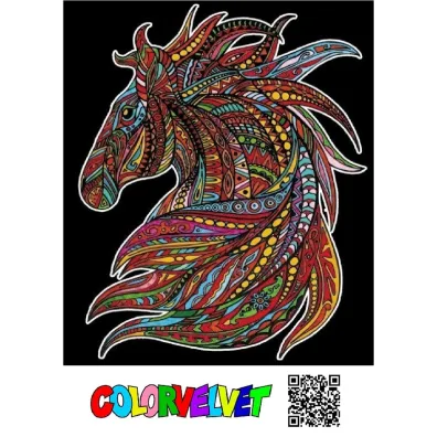 Kolorowanka Welwetowa 47x35 cm Wicher Ko�