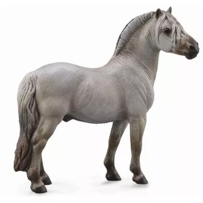 Ko� Fiord Stallion Grey