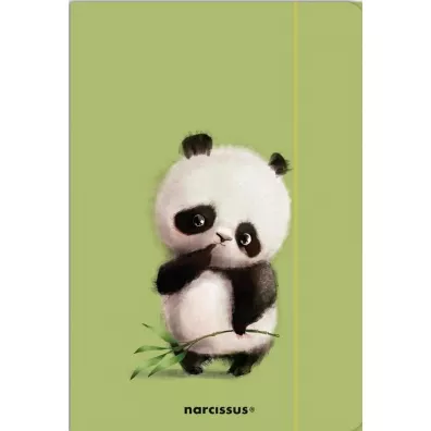 Narcissus Teczka A4 z gumk Panda