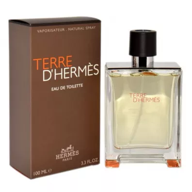 Hermes Woda toaletowa dla m�czyzn Terre D 100 ml