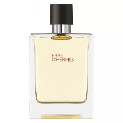 Hermes Woda toaletowa dla m�czyzn Terre D 100 ml