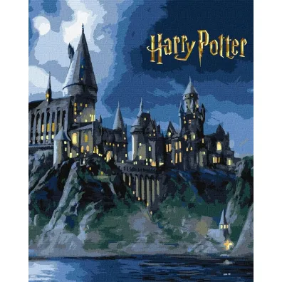 Ideyka Malowanie po numerach - Harry Potter. Hogwart noc�