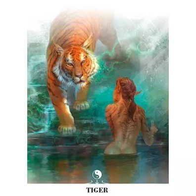 Chinese Oracle Cards, karty do wrenia