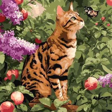 Ideyka Malowanie po numerach - Kot bengalski 40x40cm