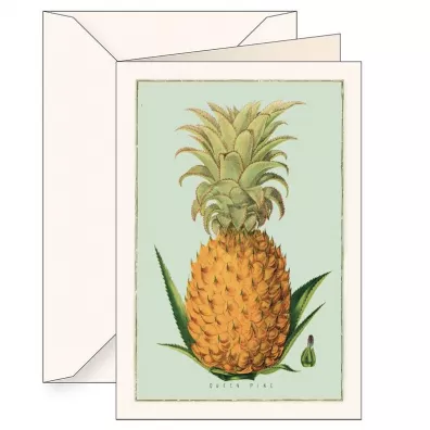 Tassotti Karnet B6 + koperta 5960 Ananas