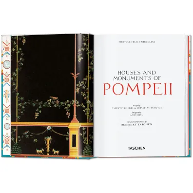 Houses and Monuments of Pompeii