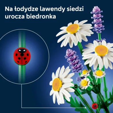 LEGO Botanicals Stokrotki 11508