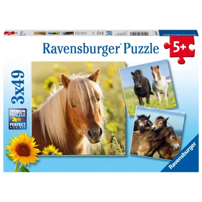 Puzzle 3x49 el. Konie Ravensburger