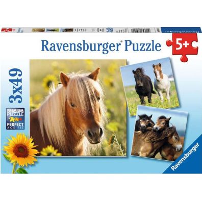 Puzzle 3 x 49 el. Konie Ravensburger