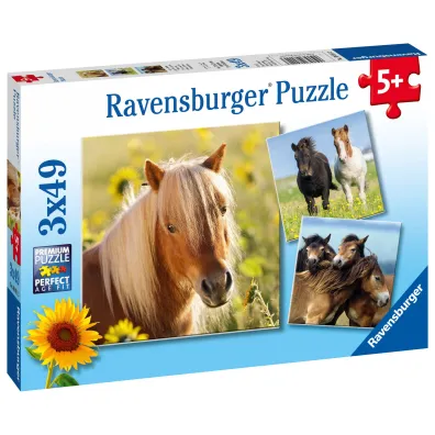 Puzzle 3x49 el. Konie Ravensburger