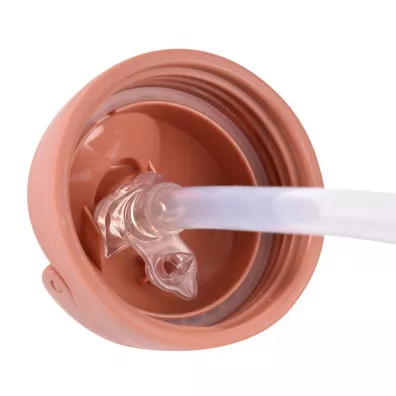 Beaba Bidon niekapek ze somk tritanowy Terracotta 300 ml