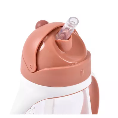 Beaba Bidon niekapek ze somk tritanowy Terracotta 300 ml