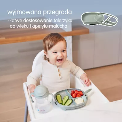 b.box Talerzyk z przyssawk 2w1, szawiowy