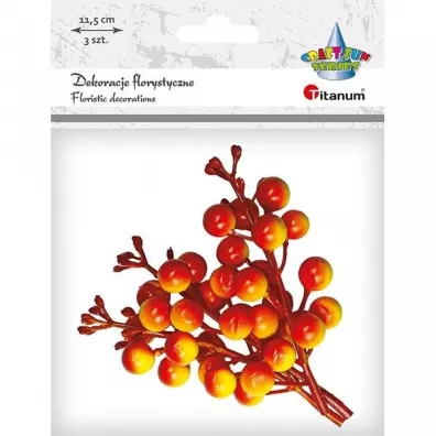 Titanum Ga��zki owoc�w winobluszczu pomara�czowe 3 szt.