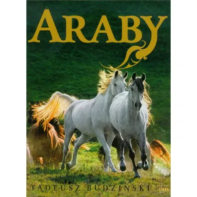 Araby. Dzieci wiatru - Tadeusz Budzi�ski