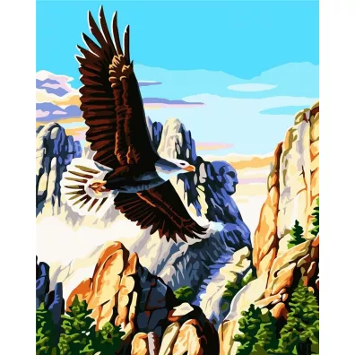 ArtiFly Malowanie po numerach - Orze� ameryka�ski 40x50cm