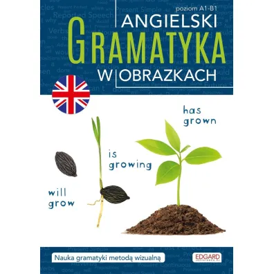 Angielski. Gramatyka w obrazkach
